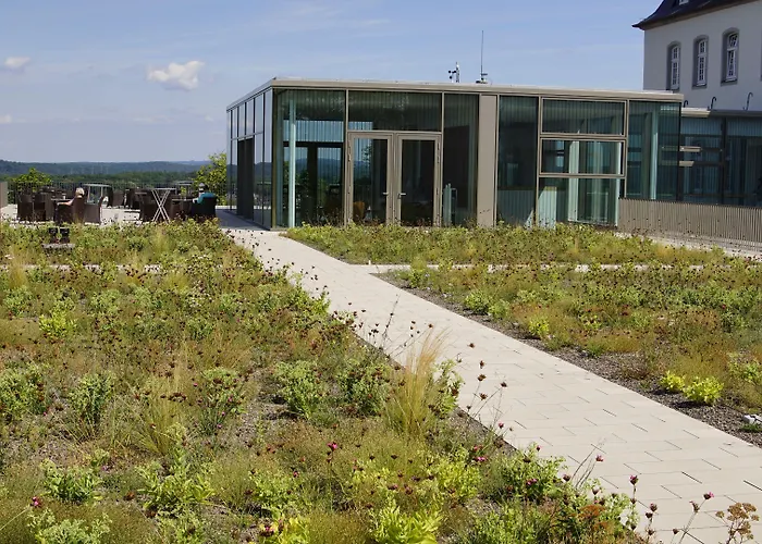 Katholisch-soziales Institut